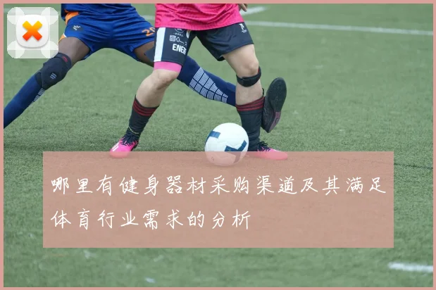 哪里有健身器材采购渠道及其满足体育行业需求的分析