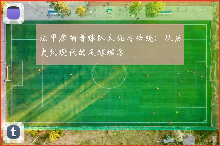 法甲摩纳哥球队文化与传统：从历史到现代的足球理念