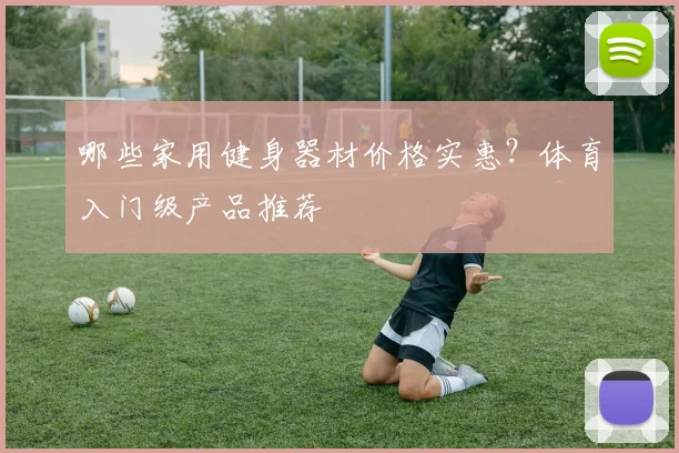 哪些家用健身器材价格实惠？体育入门级产品推荐