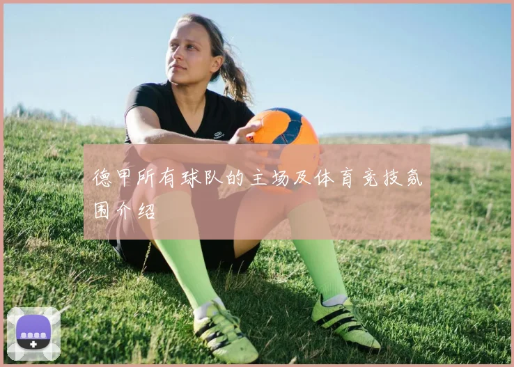 德甲所有球队的主场及体育竞技氛围介绍