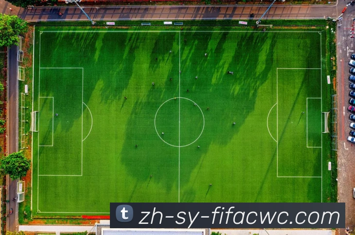 世界杯在线观看品牌故事