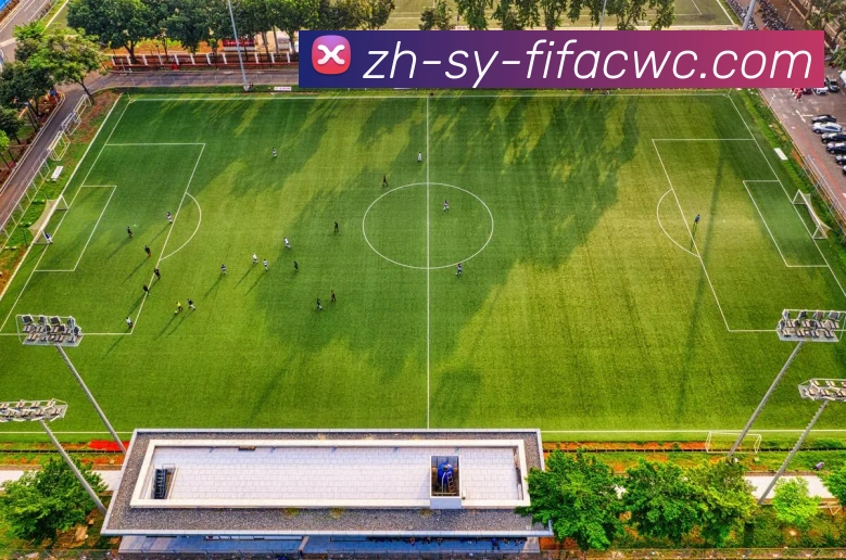 世界杯在线观看服务体系